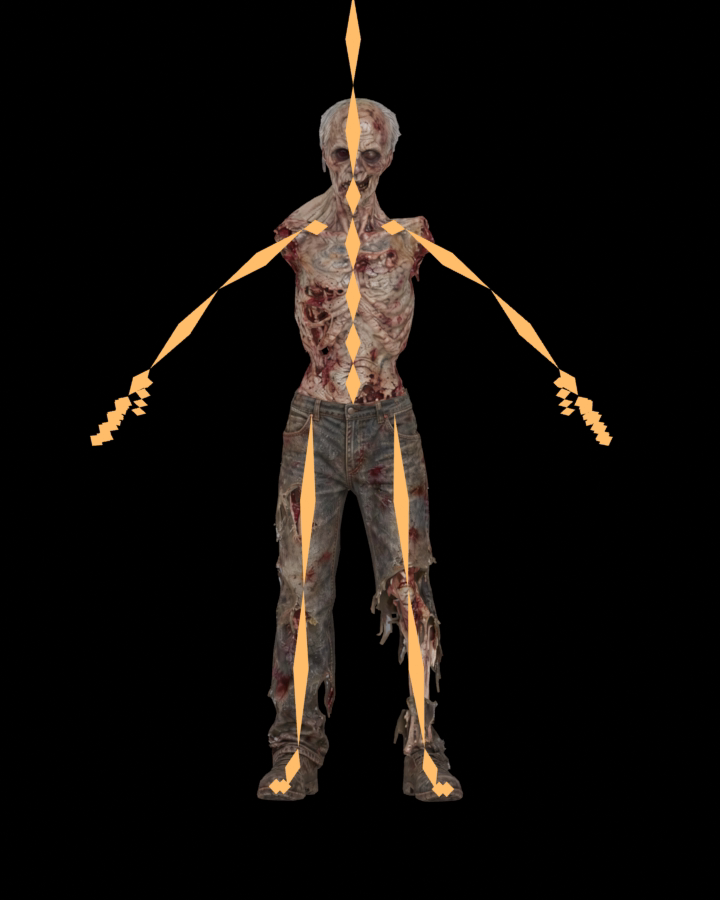 Bald skeleton