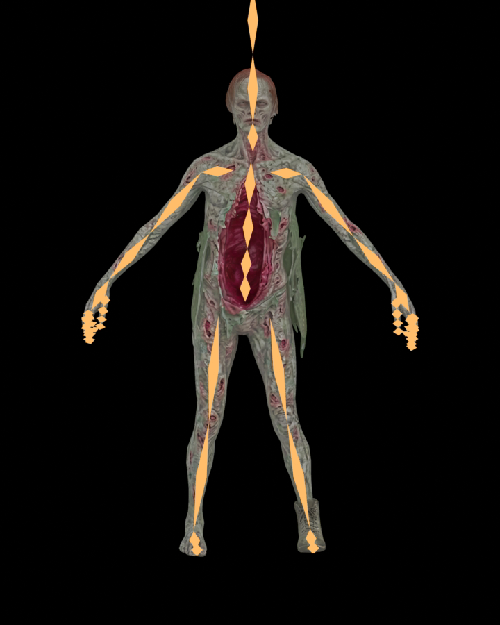 Cavity skeleton